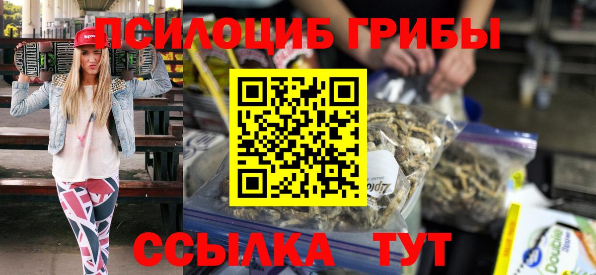 Псилоцибиновые грибы Cubensis  Псилоцибиновые грибы Psilocybine cubensis  Алапаевск  Вход с VPN 